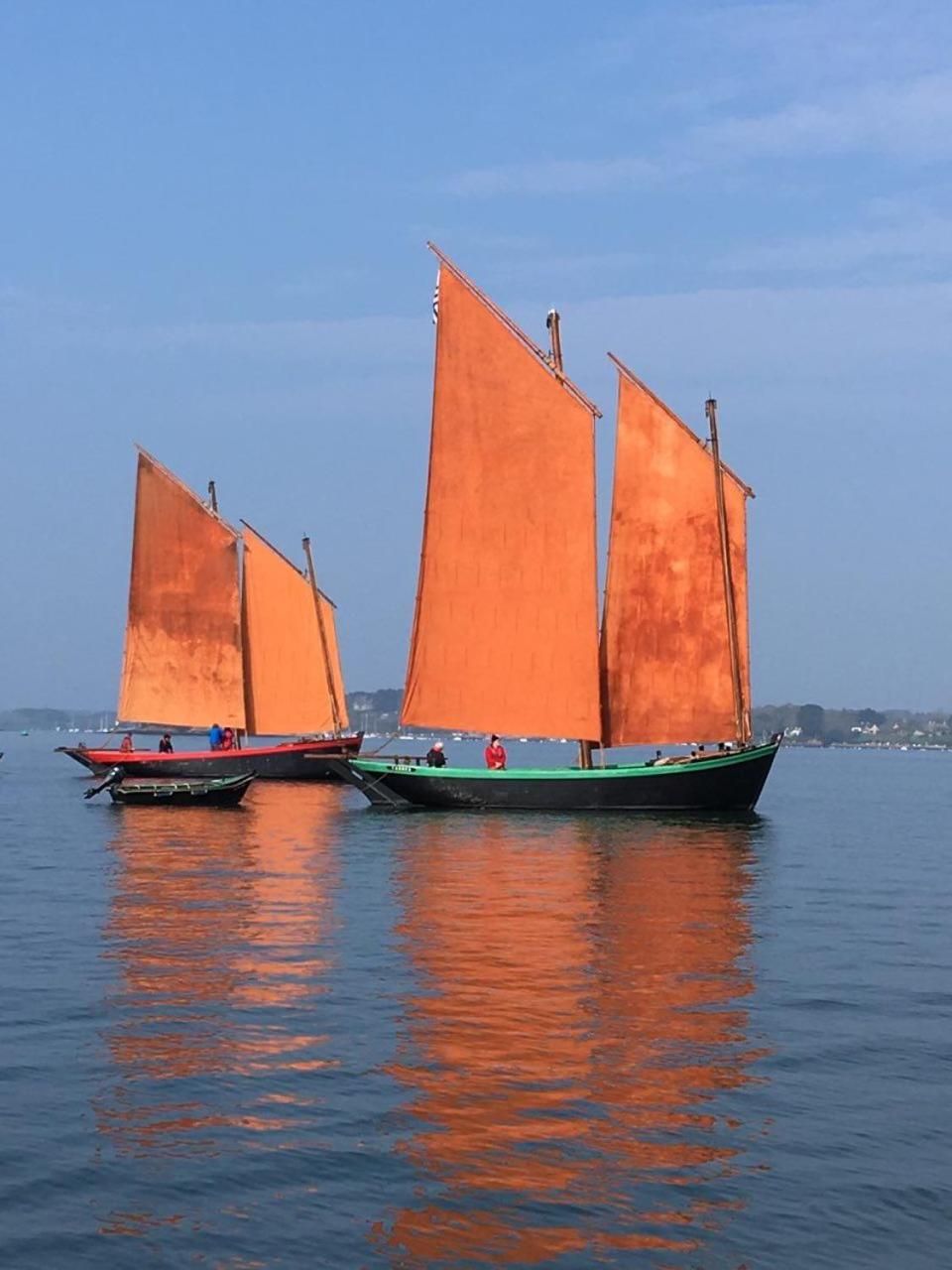 1 2 3 Chambres Entre La Presqu Ile De Rhuys Et Le Golfe Du Morbihan Theix Buitenkant foto